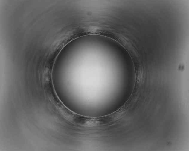 X0000113120470200908281442