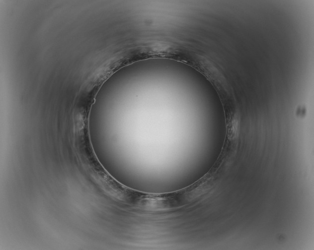 X0000113120472200908281442