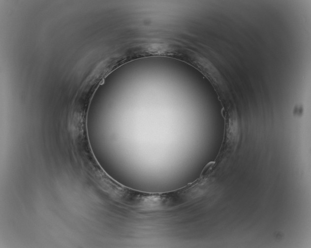 X0000113120473200908281442