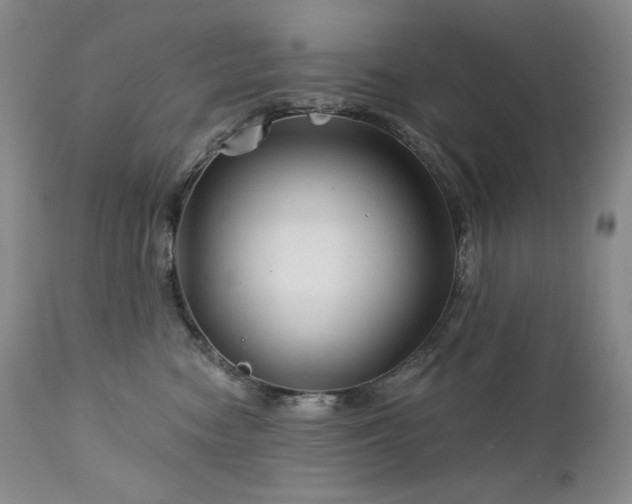 X0000113120474200908281442