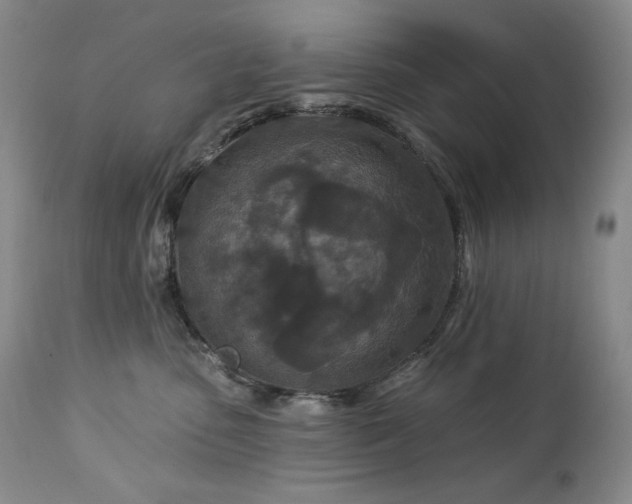 X0000113120475200908281442