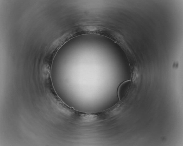 X0000113120476200908281442