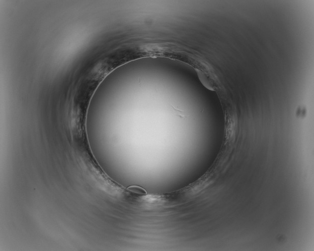 X0000113120477200908281442