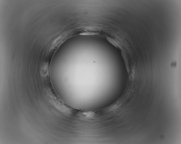 X0000113120478200908281442