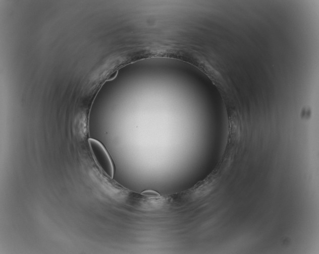 X0000113120479200908281442