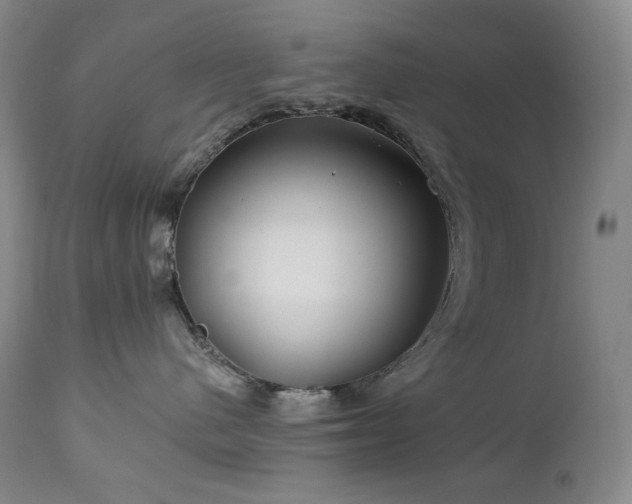 X0000113120480200908281442