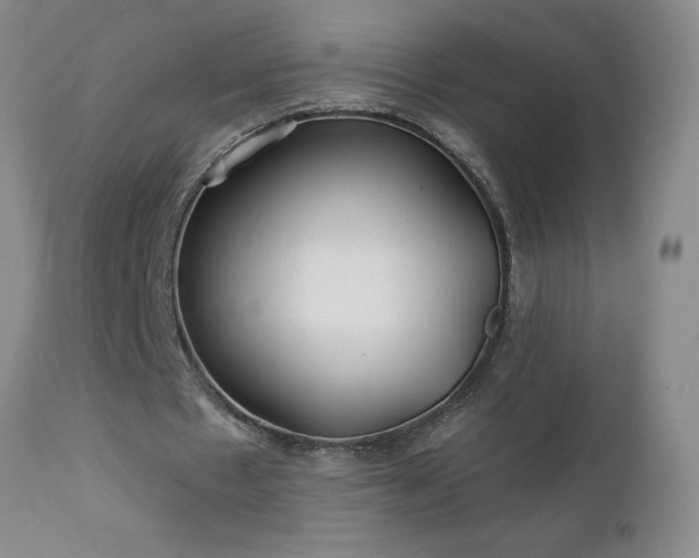 X0000113120481200908281441