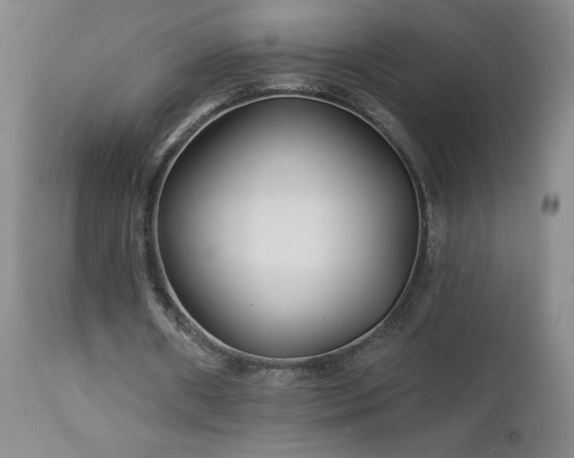 X0000113120482200908281441