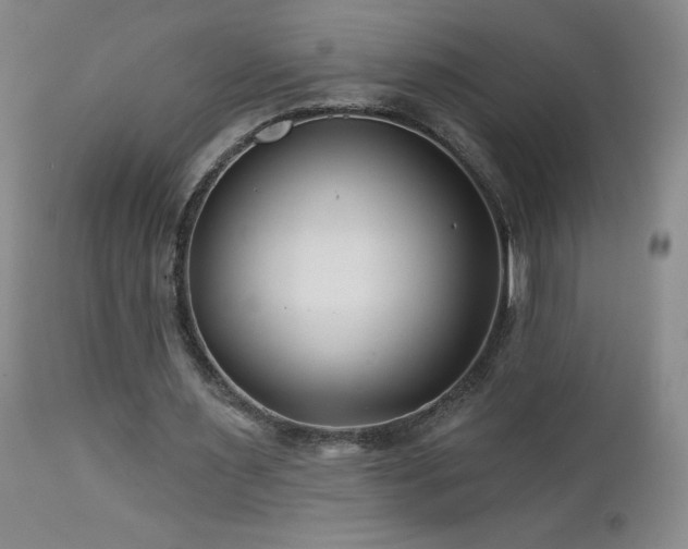 X0000113120483200908281441