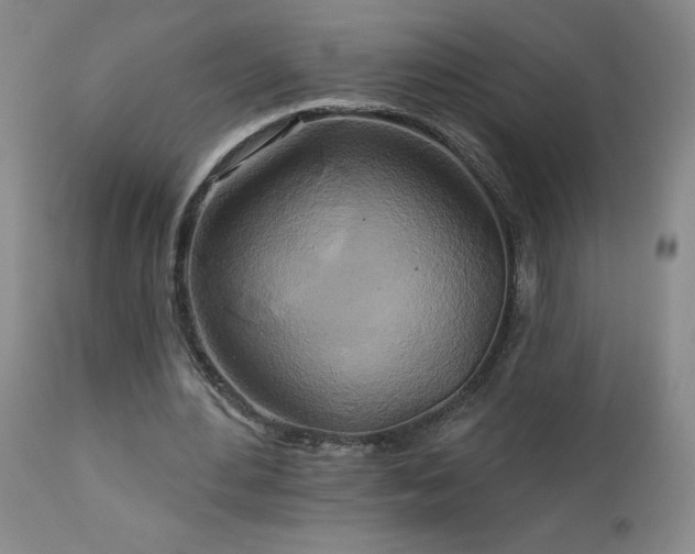 X0000113120484200908281441