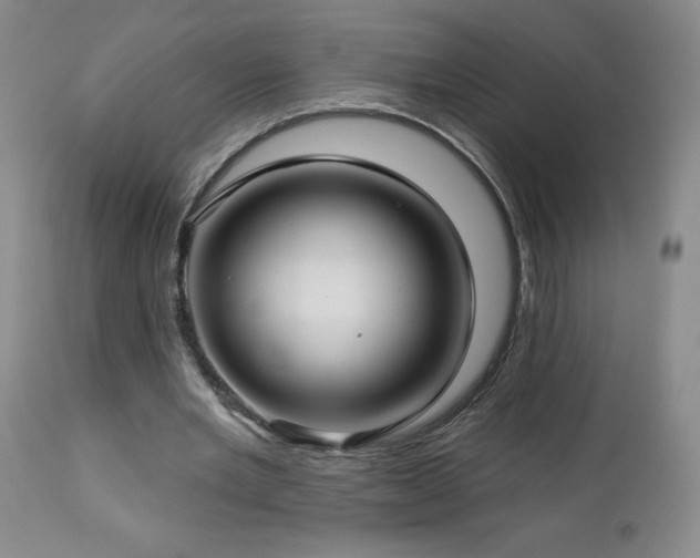 X0000113120485200908281441