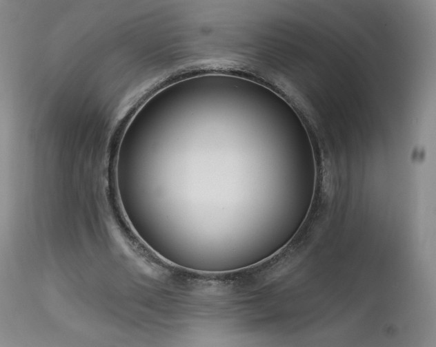 X0000113120486200908281441