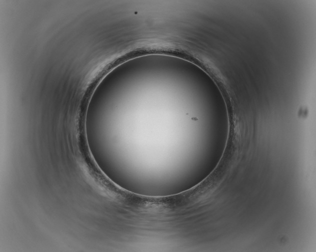 X0000113120487200908281441