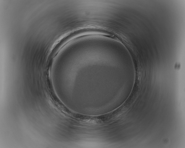 X0000113120488200908281441