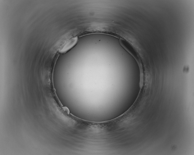 X0000113120489200908281441