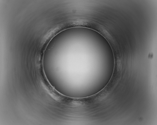 X0000113120490200908281441