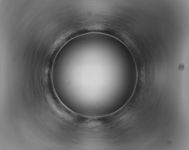 X0000113120491200908281441