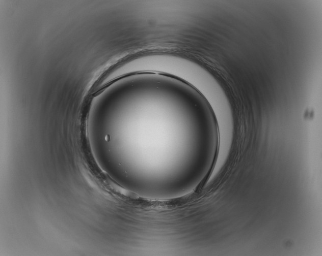 X0000113120492200908281441