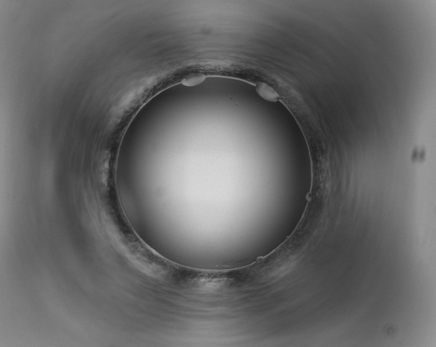 X0000113120495200908281441