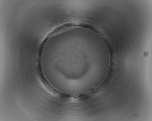 X0000113120496200908281441