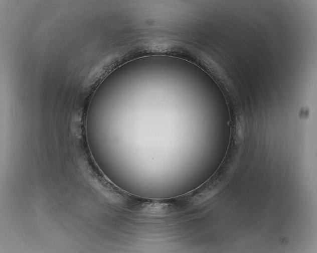 X0000113120497200908281441