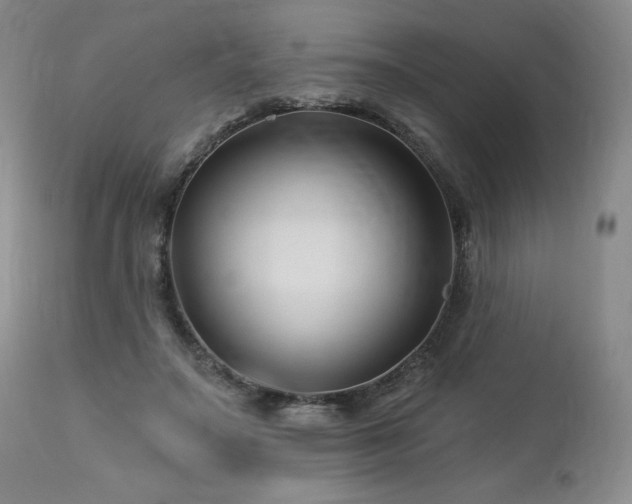 X0000113120499200908281441