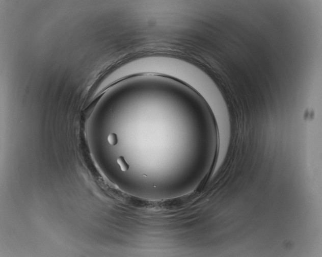 X0000113120500200908281441