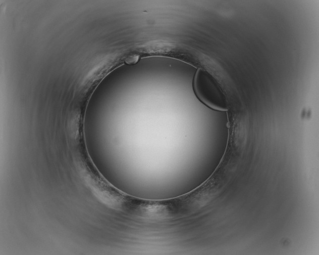 X0000113120501200908281441