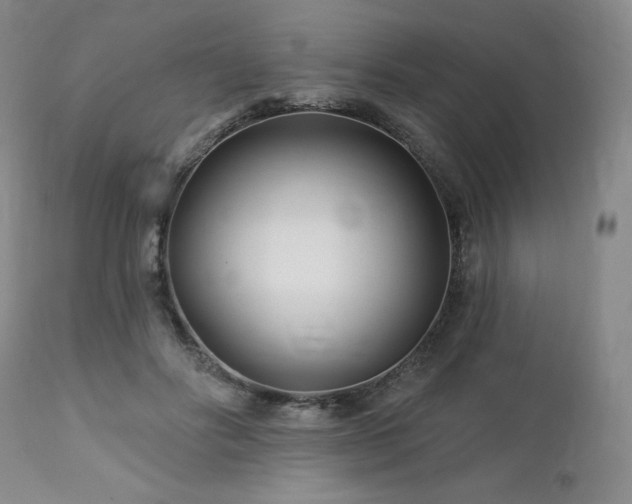 X0000113120502200908281441