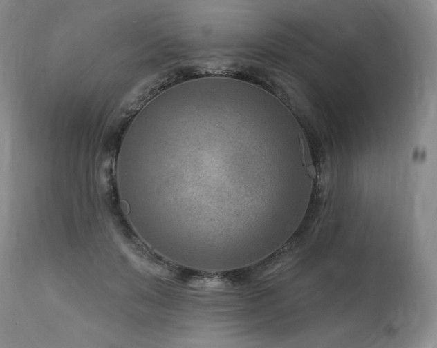 X0000113120503200908281441