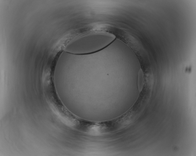 X0000113120504200908281441