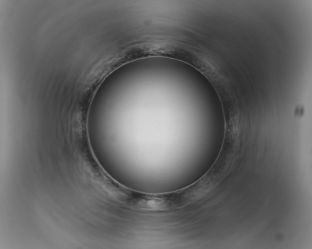 X0000113120506200908281441