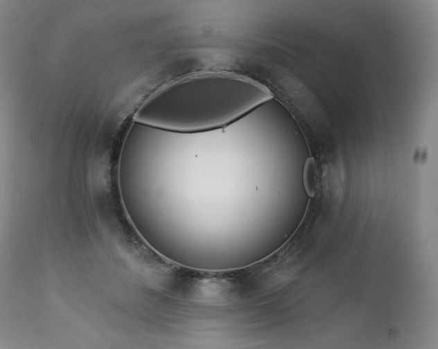 X0000113120508200908281441