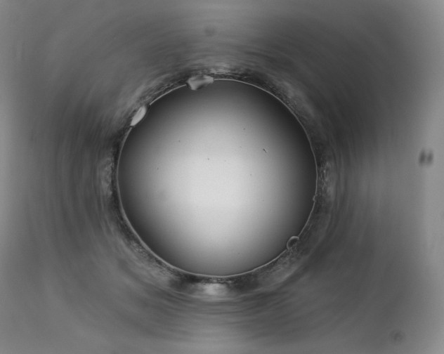 X0000113120509200908281441