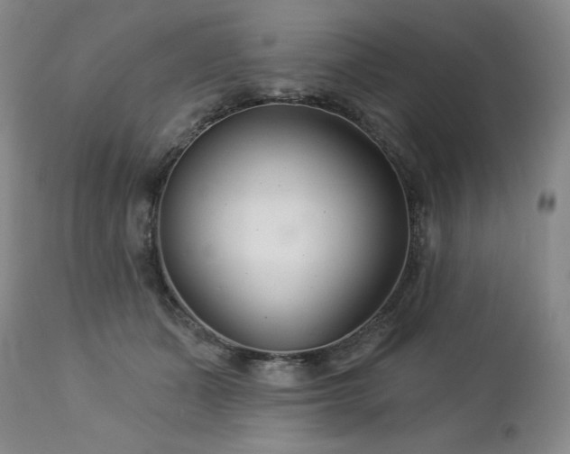 X0000113120511200908281441