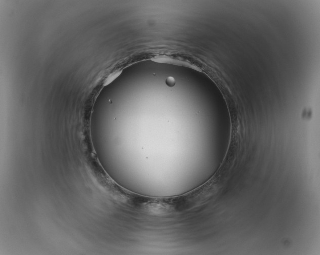 X0000113120512200908281441