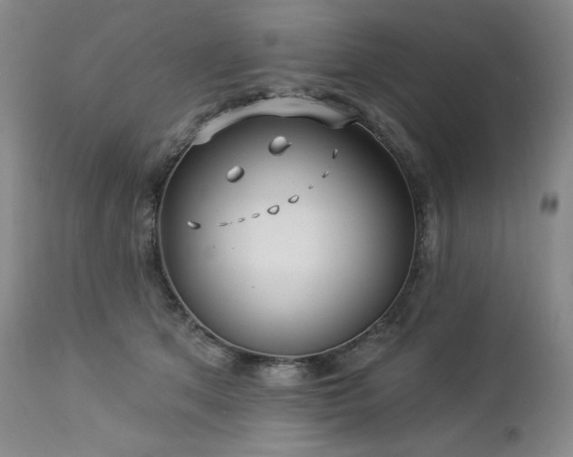 X0000113120513200908281441