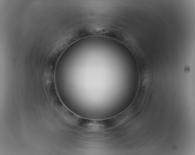 X0000113120515200908281441