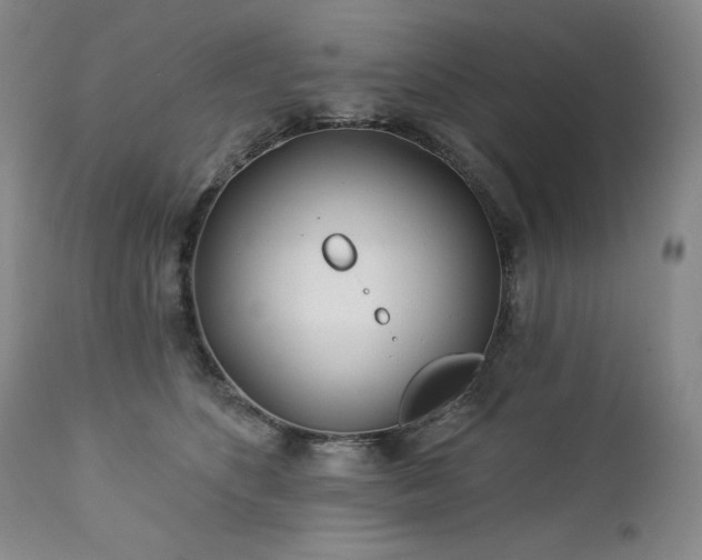 X0000113120516200908281441