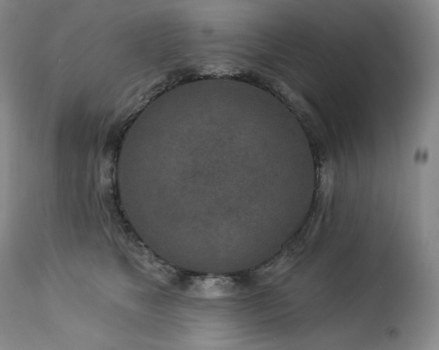 X0000113120517200908281441