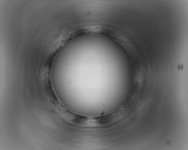 X0000113120518200908281441