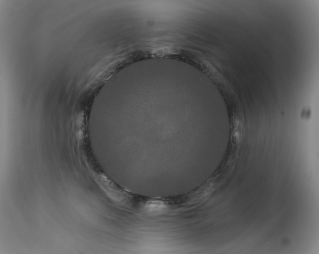 X0000113120519200908281441