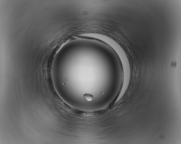 X0000113120520200908281441