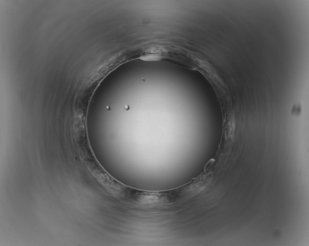 X0000113120521200908281441