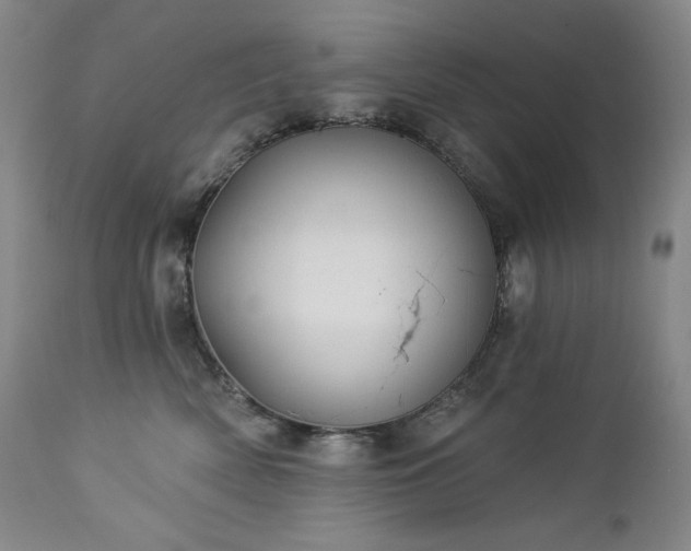 X0000113120522200908281441