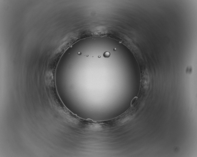 X0000113120523200908281441