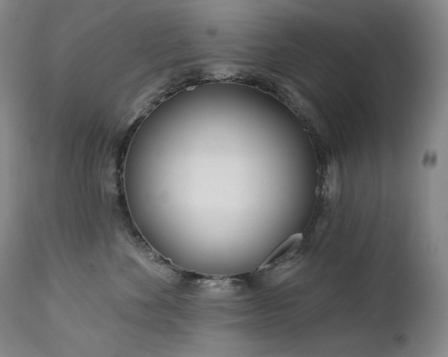 X0000113120524200908281441