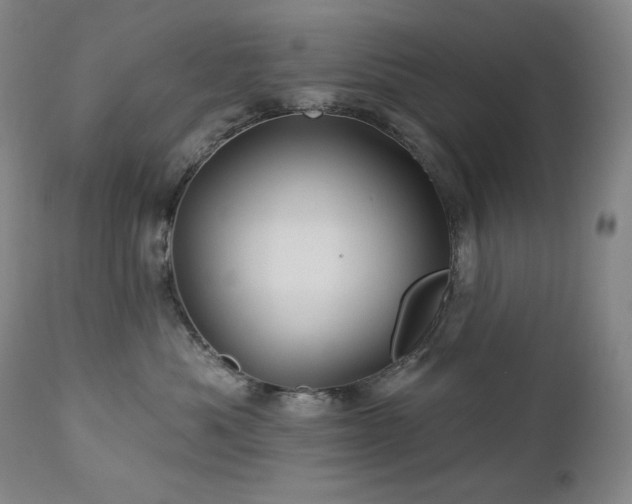 X0000113120525200908281441