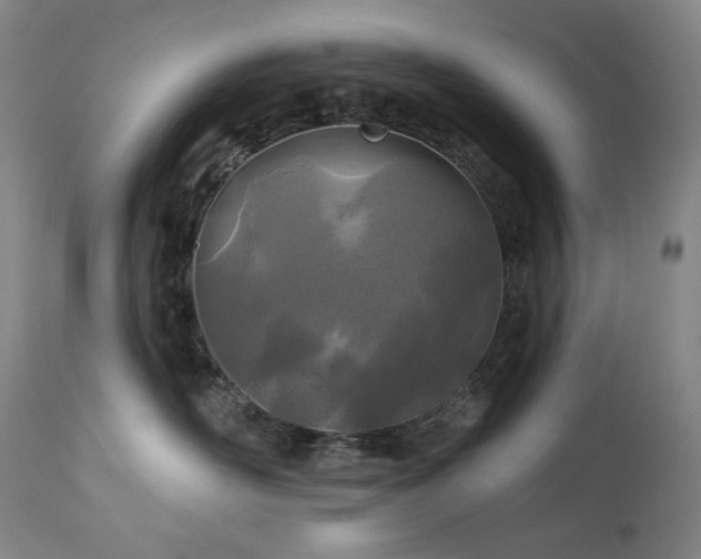 X0000113120526200908281441