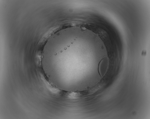 X0000113120527200908281441